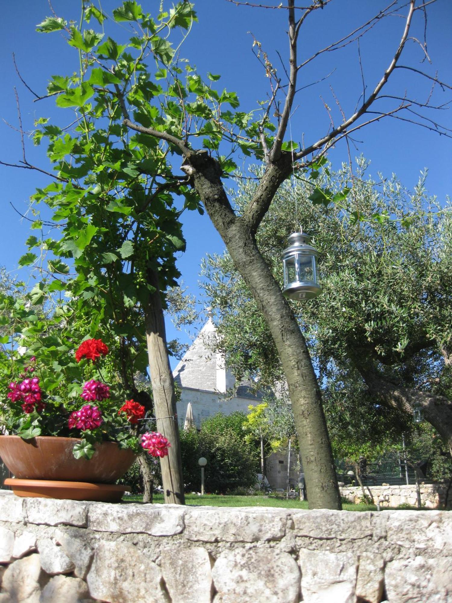 Truddhi Casa E Cucina Di Puglia Aparthotel Locorotondo Exterior photo